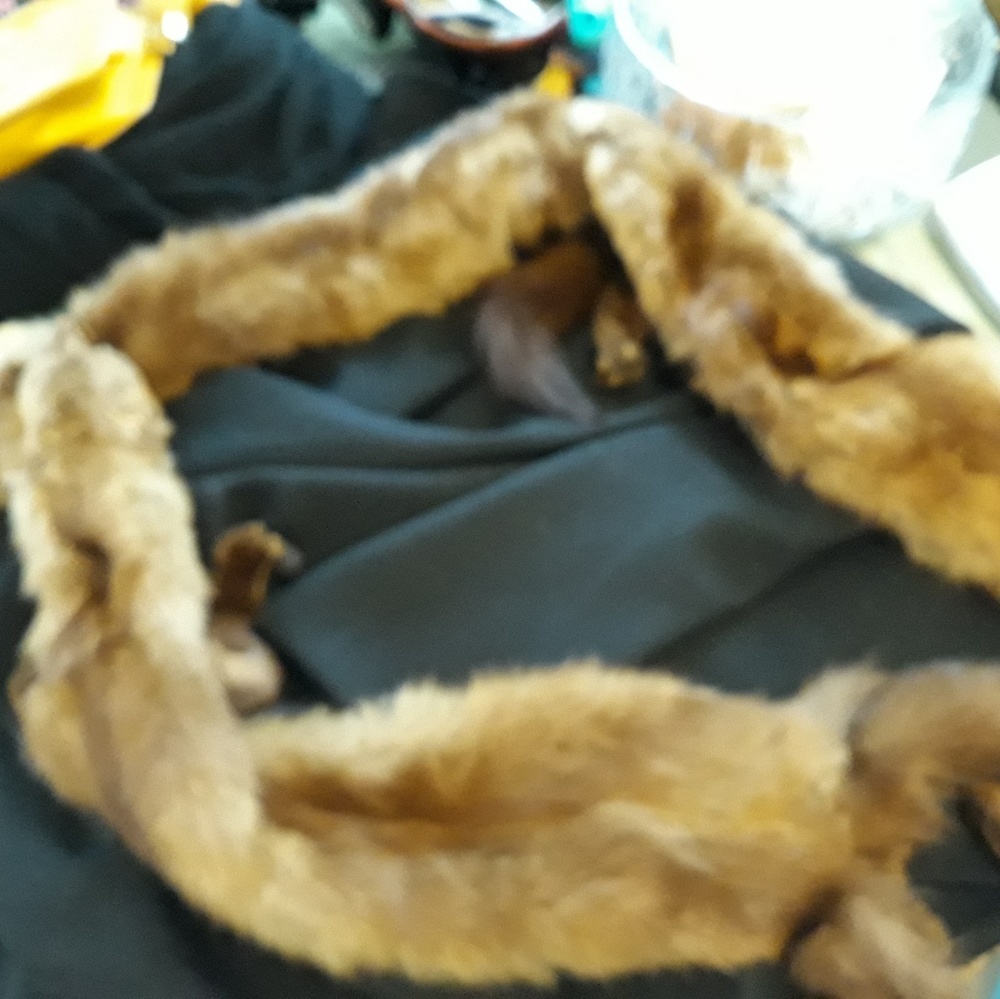 Fox Stole